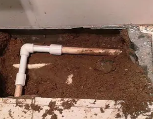 萧山测漏水哪家好