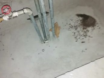 萧山卫生间测漏水价格明细