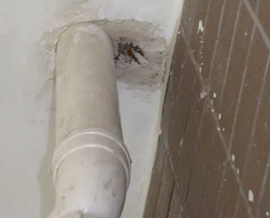 萧山漏水检测哪家好